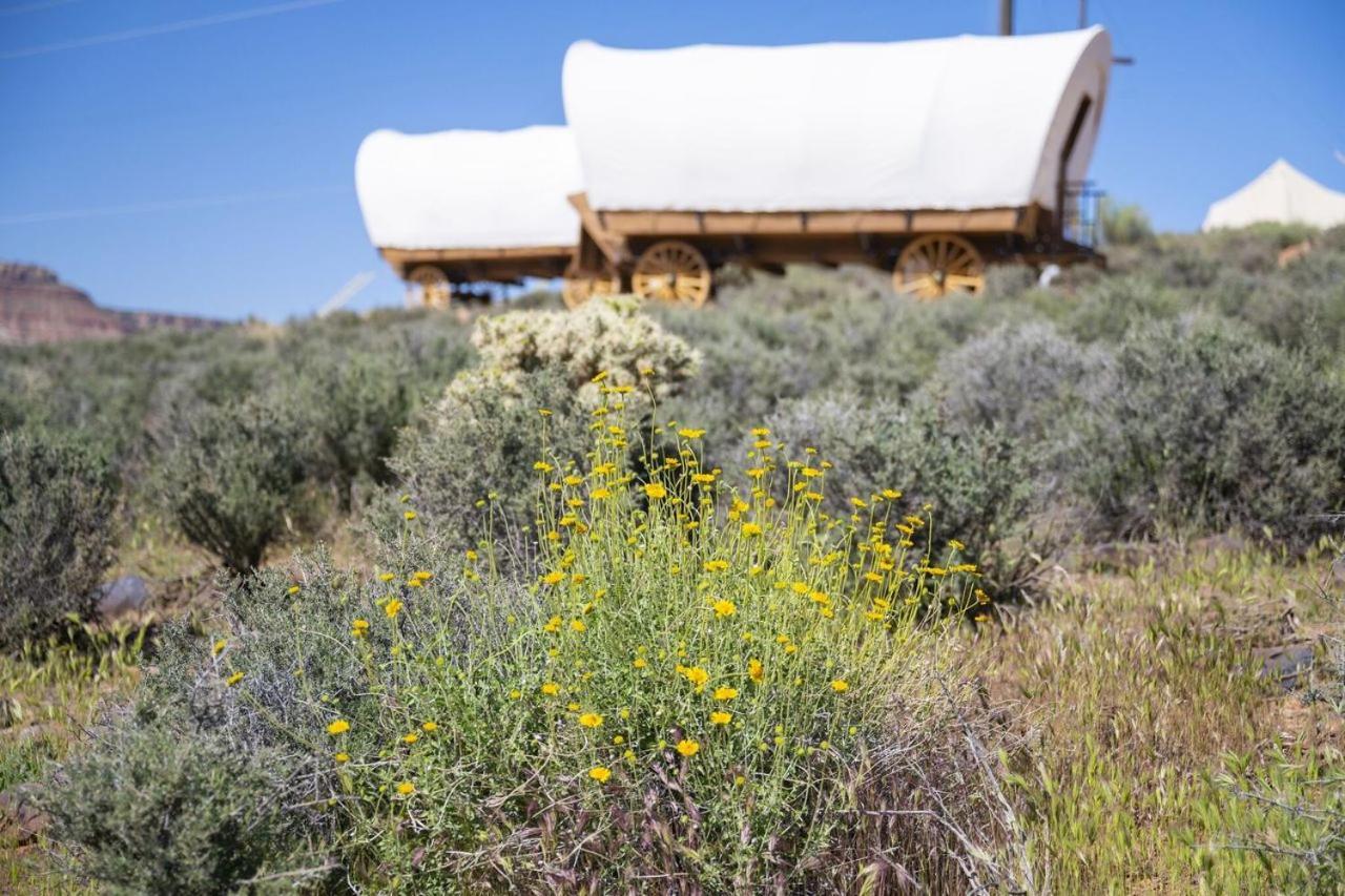 Zion Wildflower Hotel Virgin Exterior foto